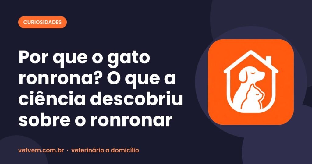 Capa do artigo: Por que o gato ronrona? O que a ciência descobriu sobre o ronronar